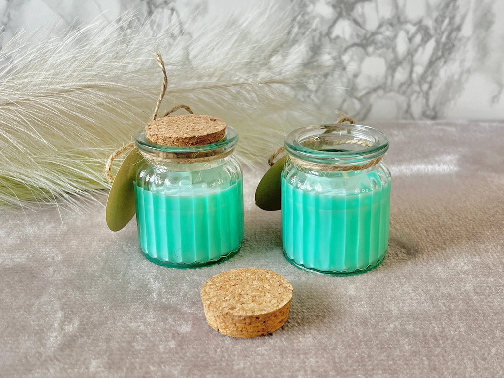 Apple and Cinnamon Soy Wax Candles - Vegan Soy Candles in Glass Pots - Christmas Candles