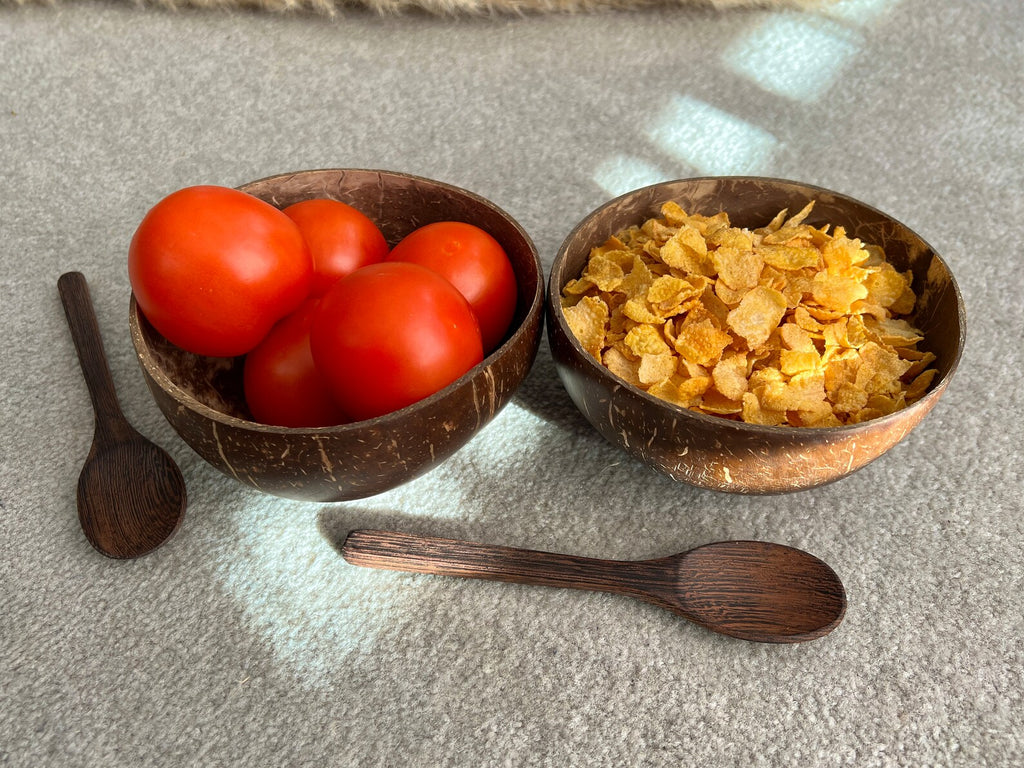 Sustainable Coconut Shell Cereal Bowl with Spoon