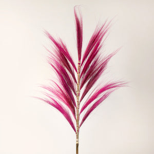 Cream and Pink Large Rayung Grass Set of 3 - Real Natural Rayung Grass - Pink Large Pampas Leaves - Dried Sea Grass Display - Pampas Decor